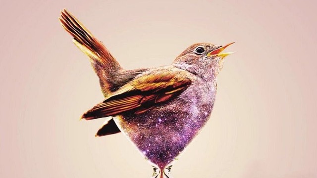 Presentación del libro "Cantar al infinito" de Irene de Juan Bernabéu