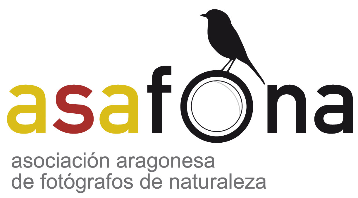Ciclo de charlas de Fotografía de la Naturaleza 2026. ASAFONA