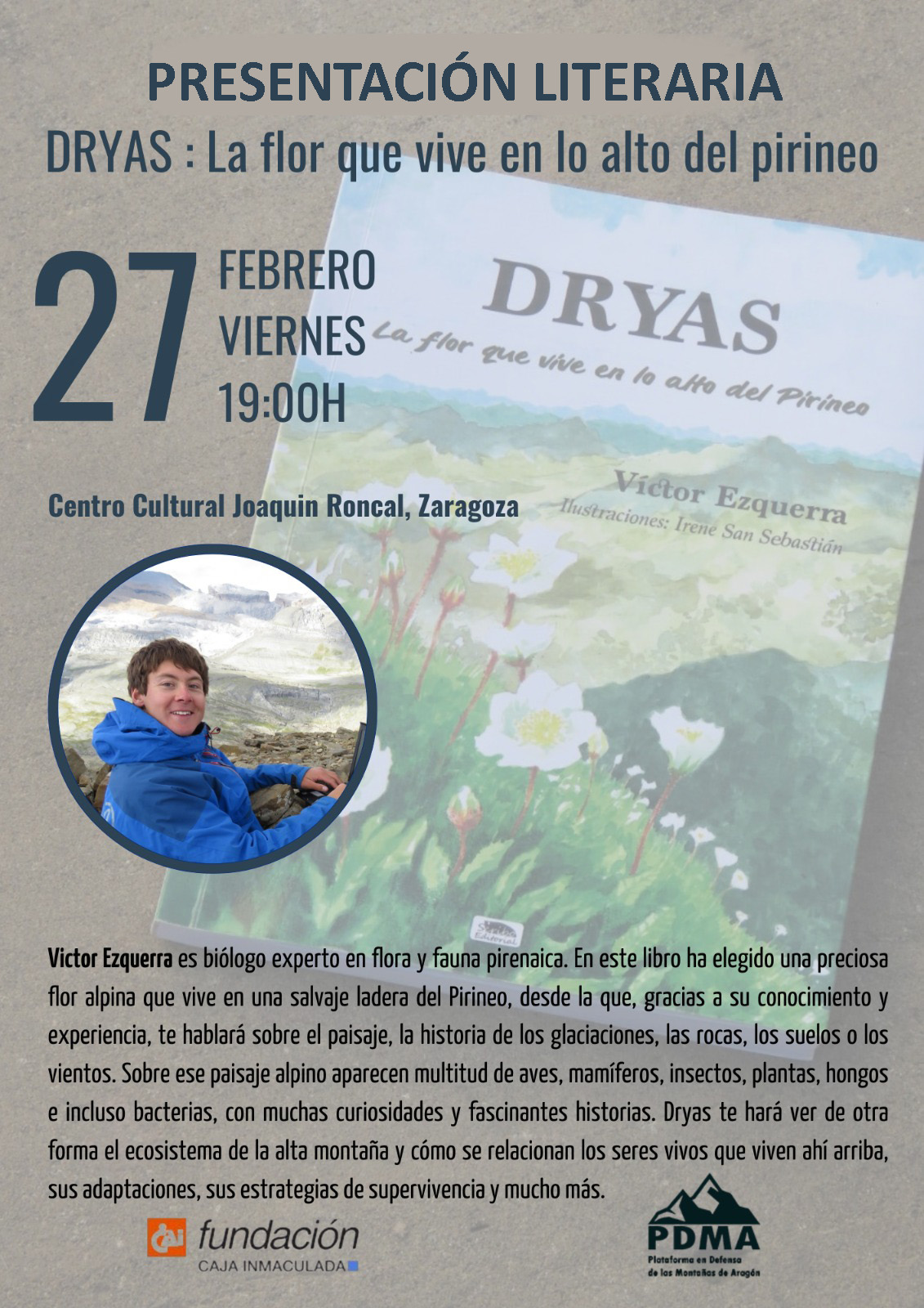 Dryas, la flor que vive en lo alto del pirineo.