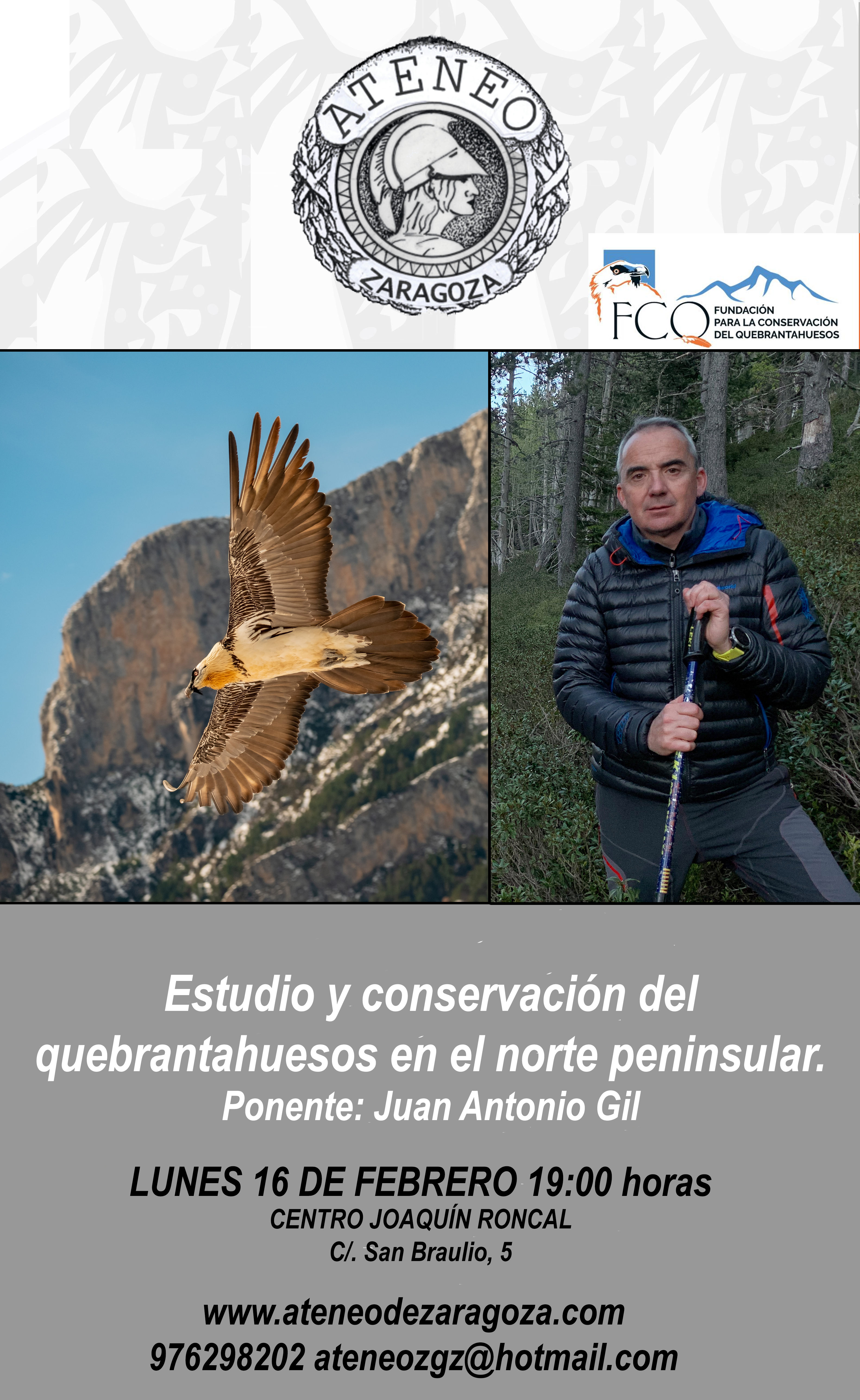 Estudio y conservacion del quebrantahuesos en el norte peninsular